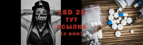 спайс Ладушкин