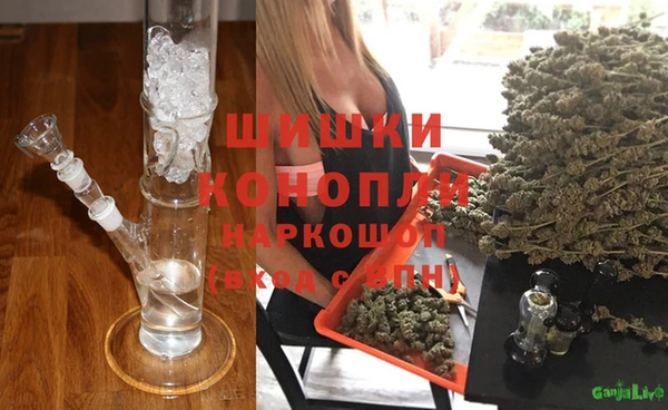 винт Лабытнанги