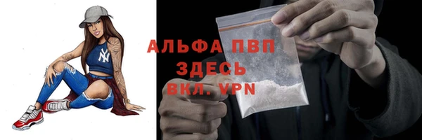 винт Лабытнанги