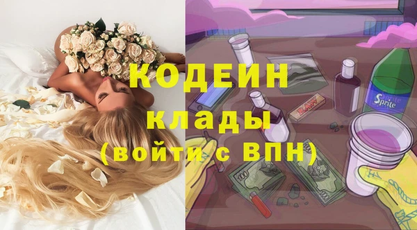 винт Лабытнанги