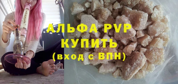 спайс Ладушкин