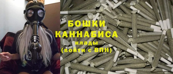 спайс Ладушкин