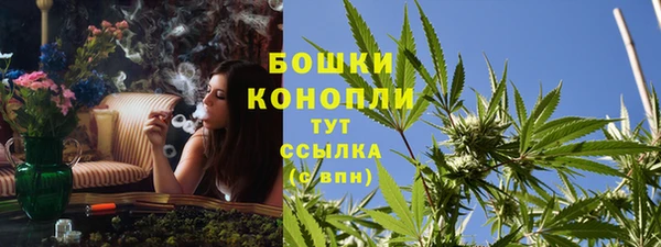 винт Лабытнанги