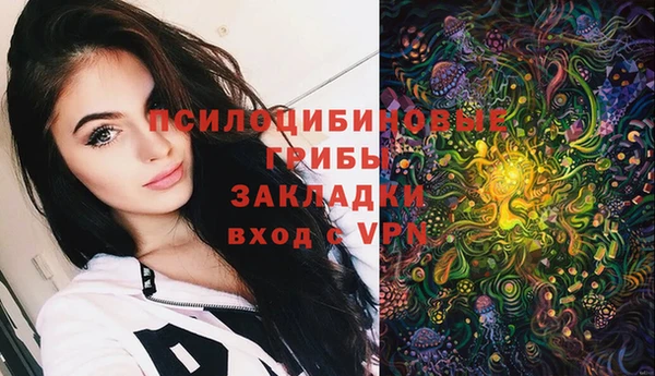 винт Лабытнанги