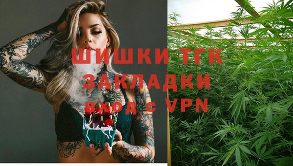ПСИЛОЦИБИНОВЫЕ ГРИБЫ Лагань