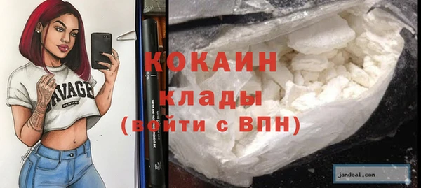 спайс Ладушкин