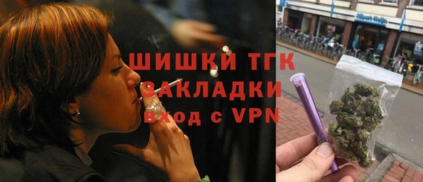 спайс Ладушкин